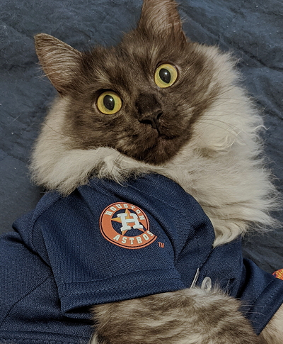 astros fan